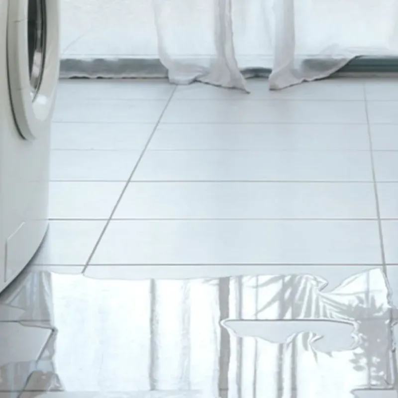 Appliance Leak Cleanup in Richland, NY