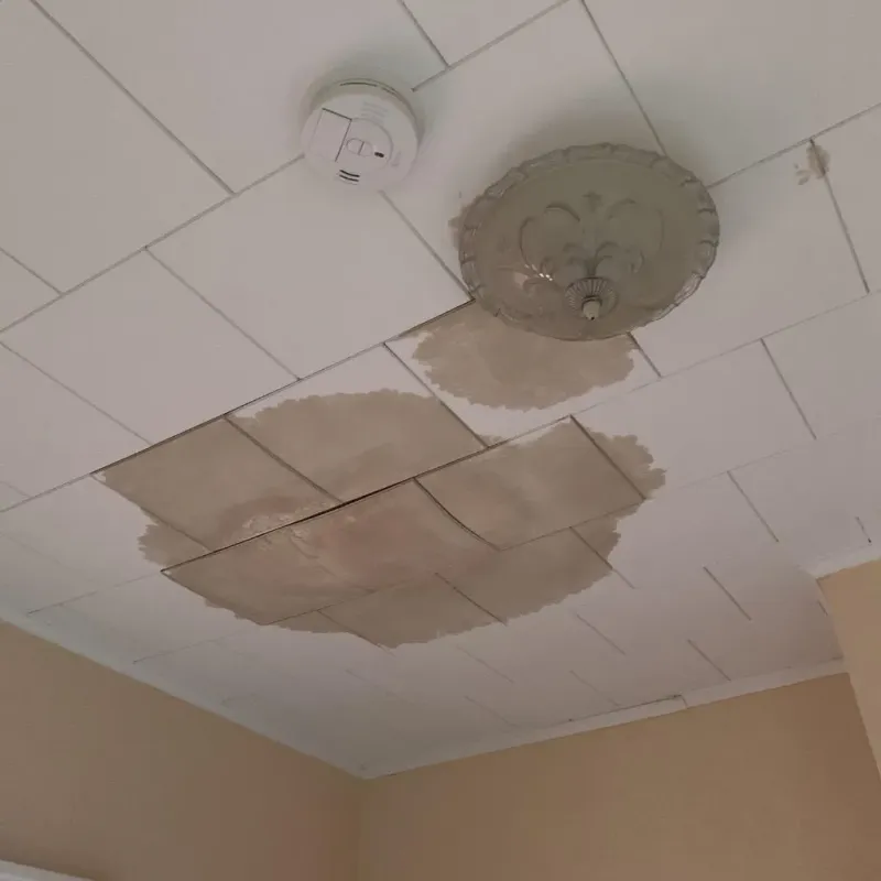 Ceiling Water Damage Repair in Richland, NY