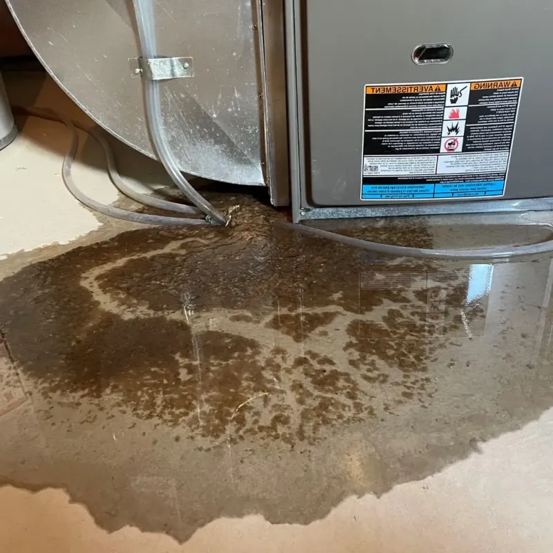 Pipe Burst and Leak Restoration in Richland, NY